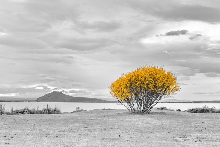 self.header_image.title